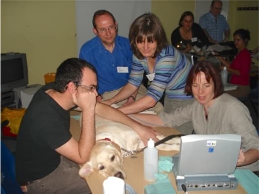 Practical tuition in the USA
